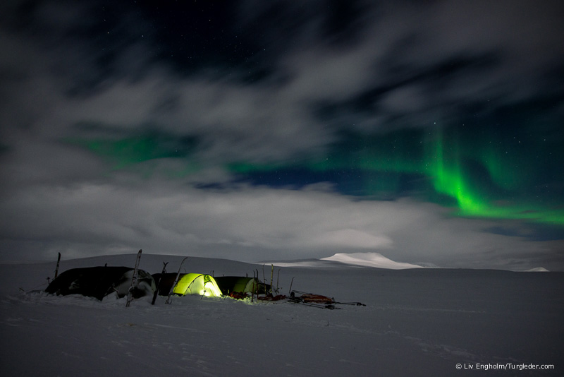 Northern lights on the Finnmarksvidda
