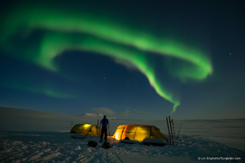 Northern lights on the Finnmarksvidda