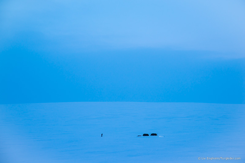 Finnmark Plateau West-East skiing expedition 