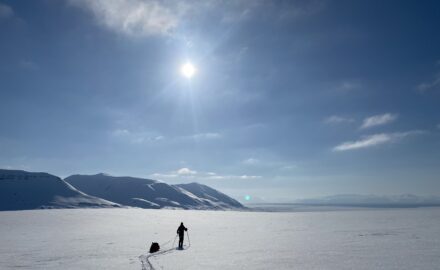 Spitsbergen North – South. 30 days