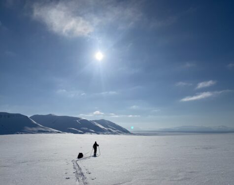 Spitsbergen North – South. 30 days