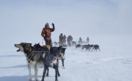 Round trip in Sami land by dog team – 8 days