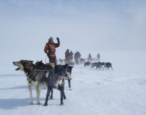 Round trip in Sami land by dog team – 8 days