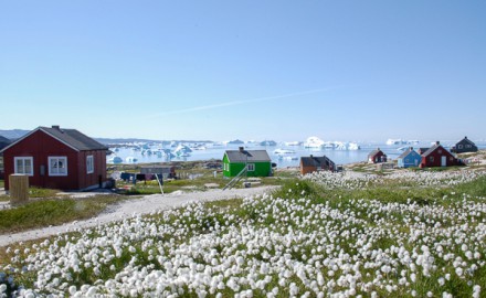 Greenland – tailor made adventures