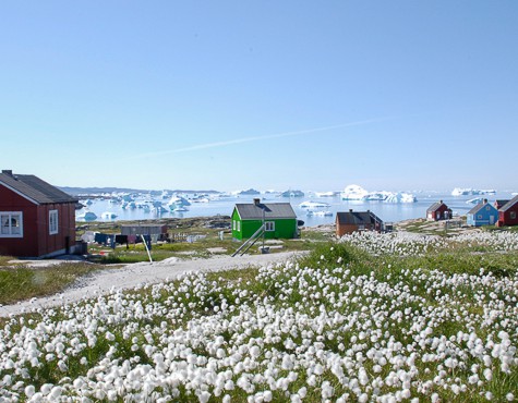 Greenland – tailor made adventures