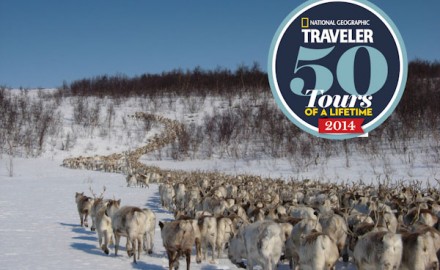 Sámi reindeer spring migration – Tour of a lifetime. 8 days