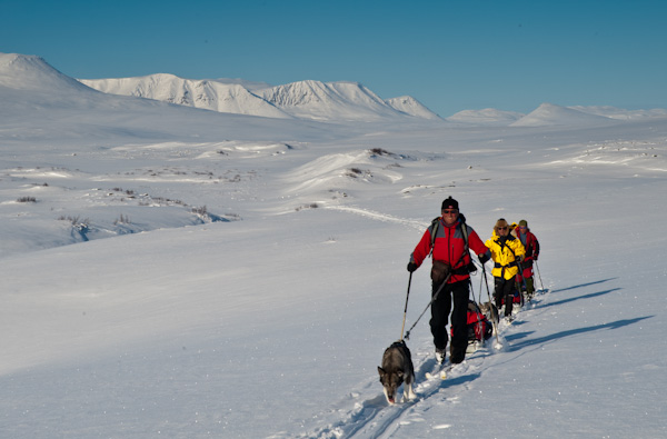 Cross country ski expedition northern norway northern lights