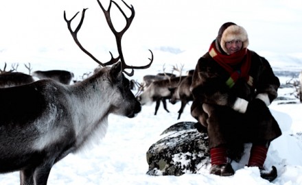 Reindeer herder experience