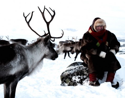 Reindeer herder experience